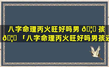 八字命理丙火旺好吗男 🦁 孩 🦟 「八字命理丙火旺好吗男孩还是女孩」